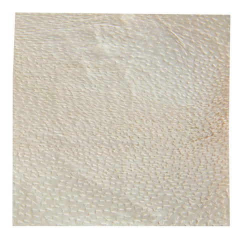 Aroa Biosurgery Inc Silver Collagen Dressing with ECM Endoform® Antimicrobial 2 X 2 Inch Square Sterile #629311