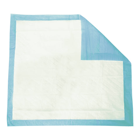 Disposable Underpad Tranquility® Essential 22 X 36 Inch Super Absorbent Material Moderate Absorbency #2676