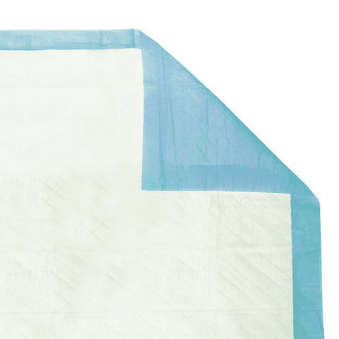 Disposable Underpad Tranquility® Essential 22 X 36 Inch Super Absorbent Material Moderate Absorbency #2676