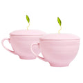 Jardin and Hanami Variety Tea Set with 2 Café Cups and 2 Tea Trays