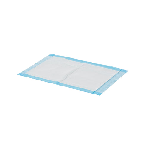 Disposable Underpad Dynarex® 17 X 24 Inch Fluff Light Absorbency #1341