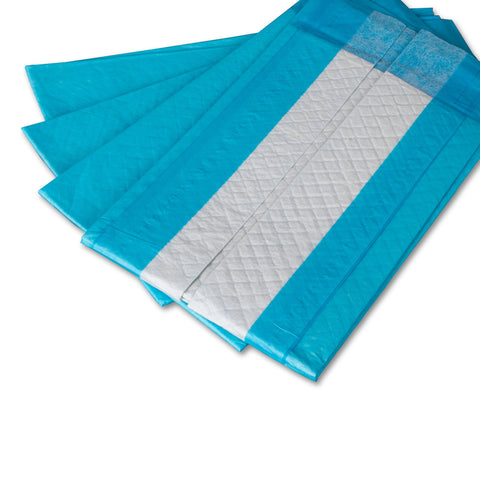 Disposable Underpad DUKAL 23 X 24 Inch Cellulose Light Absorbency #12424