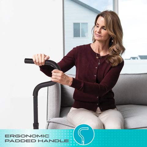 Stander Chair Cane #8810, 1 EACH