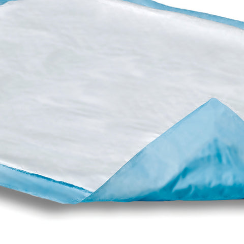 Disposable Underpad Attends® Care Dri-Sorb® 30 X 30 Inch Cellulose / Polymer Heavy Absorbency #UFS-300