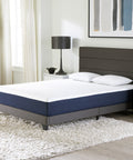 10" Serene Foam II Mattress