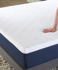 10" Serene Foam II Mattress