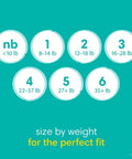 Pampers Baby Dry Diapers, Sizes 1-7